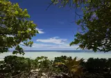 Canopy by Hilton Seychelles foto 7