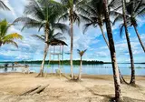 16 daagse fly drive Suriname Compleet foto 2