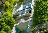 Le Windsor, Jungle Art Hotel foto 20
