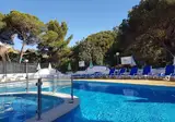 Soldoiro foto 1