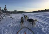 Ontdek het winteravontuur vanuit Skeikampen foto 5