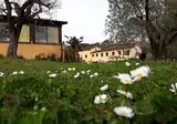 Fattoria Borgo La Torre foto 27