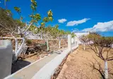 Silene Villas foto 18