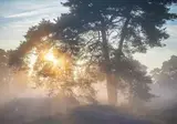 Hölte foto 11