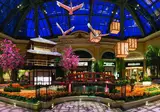 Bellagio foto 2