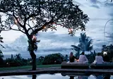 The Damai foto 14