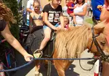Vodatent Camping de Rammelbeek foto 6
