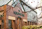 The Aquincum Hotel foto 19