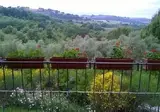 Il Melograno Country House foto 29