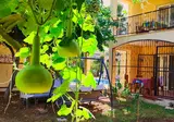 Cileks Apart Hotel foto 23