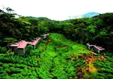Rainforest Eco Lodge foto 15