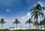 Margaritaville Beach House Key West foto 7