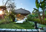 Nandini Jungle by Hanging Gardens foto 9