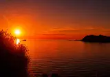 Birds Bay foto 6
