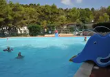 Camping Capo Vieste foto 26