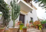 Cactus Villas foto 11