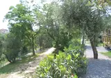 Dei Fiori foto 13