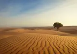 Best of Oman foto 4
