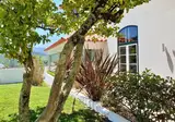 Quinta da Palmeira Country House Retreat & Spa foto 7