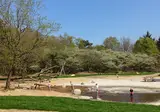 Ruinen foto 8