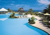 Bougainvillea Barbados foto 3