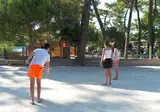 Les Pins D Oléron foto 3