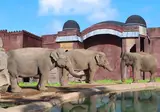 Magic Natura - Animal, Waterpark & Polynesian Lodge Resort foto 5