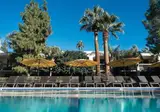 Palm Mountain Resort & Spa foto 15