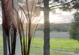 B&B Zwiep foto 7