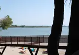 Belvedere Pineta foto 19