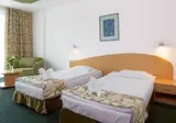 Hotel Mena Palace foto 3