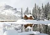 Ontdek winters Canada vanuit Banff foto 4