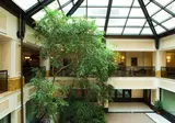 Starhotels Du Parc foto 9