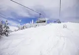 Edelweiss foto 3