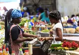 16-daagse rondreis Suriname Compleet foto 5