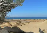 Tarthesh foto 14