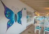 White Otel foto 28