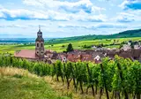 Zwarte Woud, de Elzas en Vogezen, Endingen foto 4