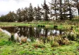 Vodatent Ballum Camping foto 4