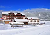 Vitalhotel Gosau foto 1
