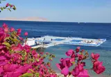 Domina Coral Bay Oasis foto 10