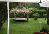 Flamingo foto 28