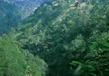 Alila Ubud foto 13