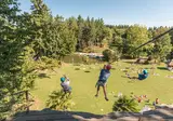 Domaine Des Ormes foto 3