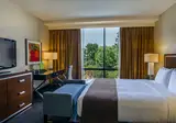 DoubleTree by Hilton Hotel Los Angeles Downtown foto 11