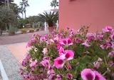 Villa Paola foto 30