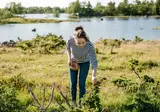 Ontdek Finland foto 20