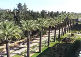 Calimera Delfino Beach Resort & Spa foto 12