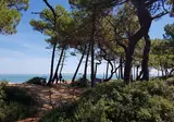 Les Pins D Oléron foto 2