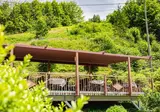 Hotel Gasthof Blume foto 18